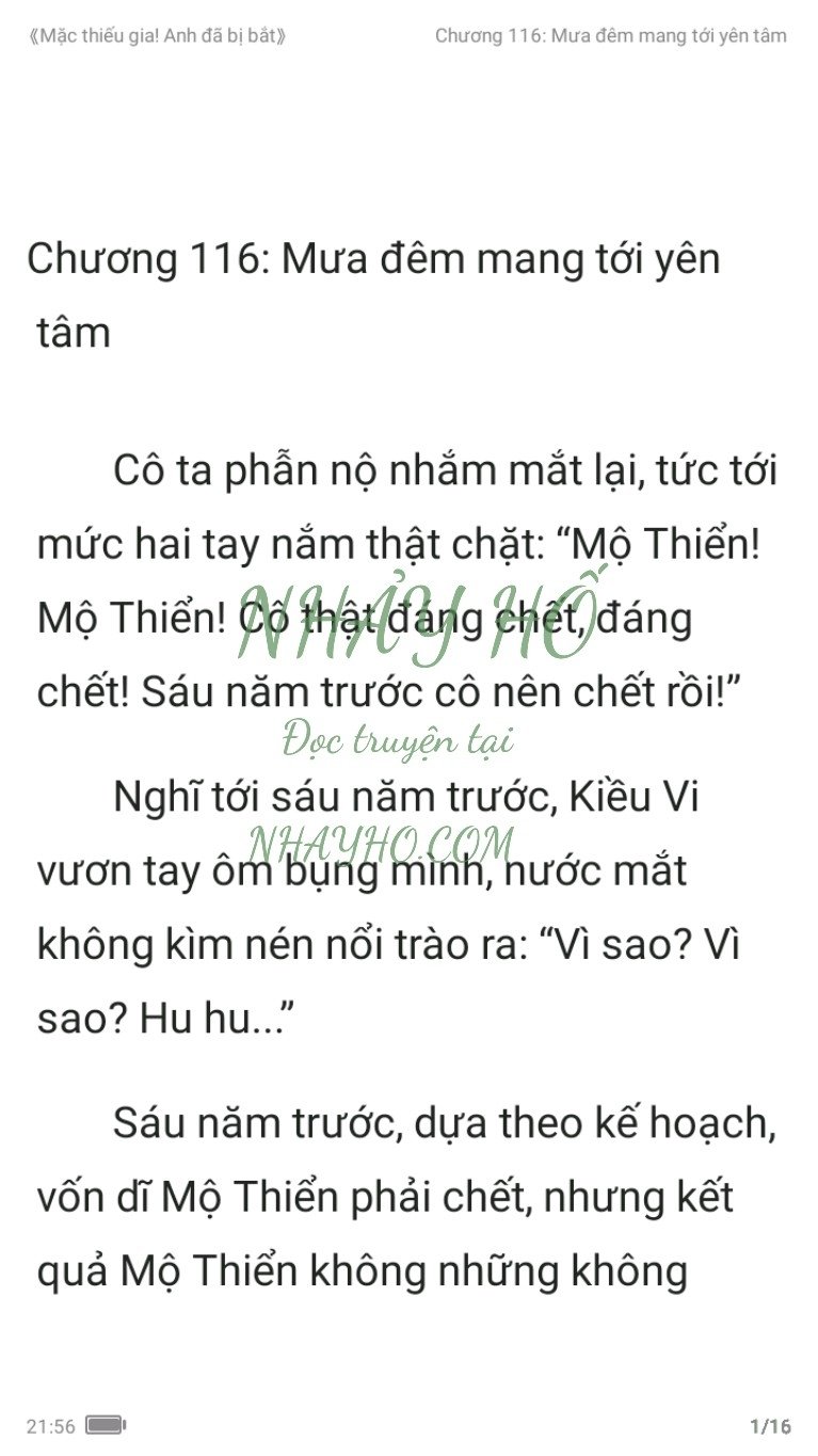 mac-thieu-gia-anh-da-bi-bat-116-0