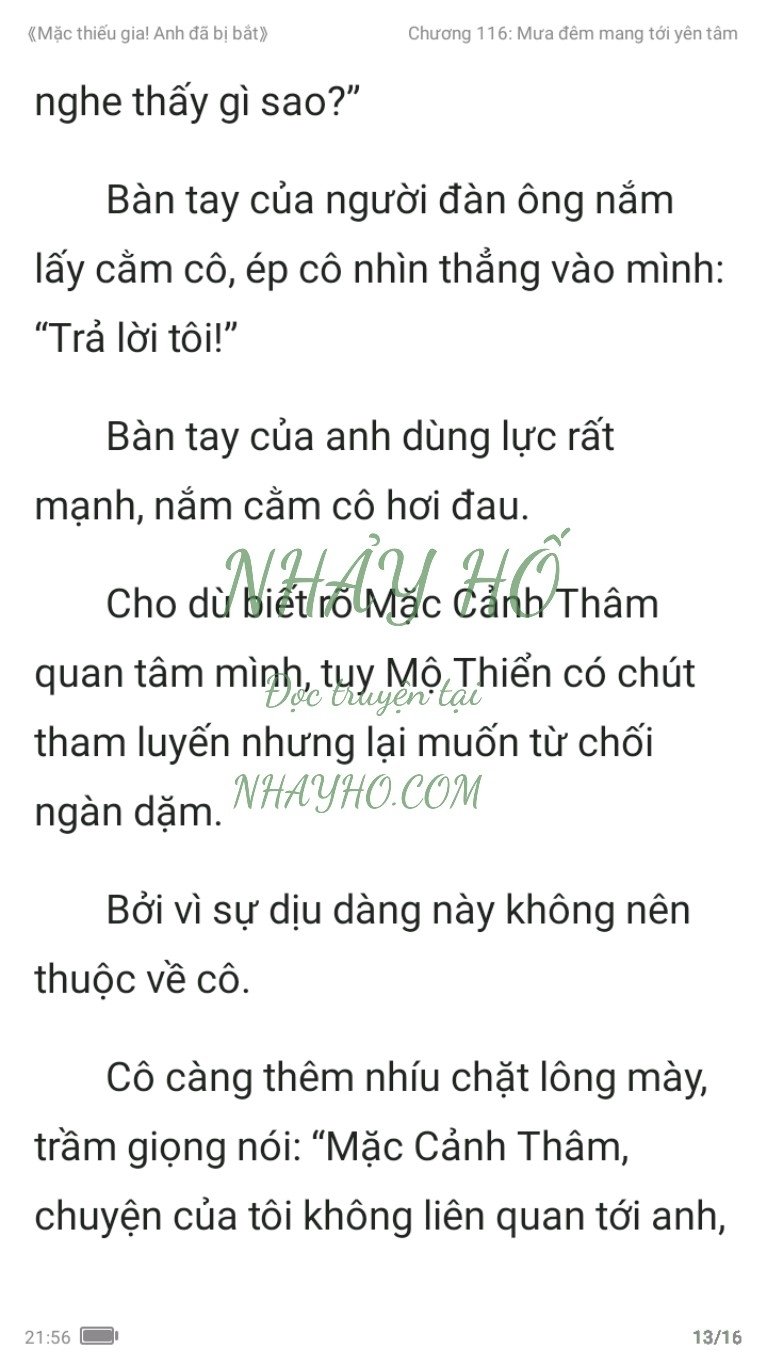 mac-thieu-gia-anh-da-bi-bat-116-12