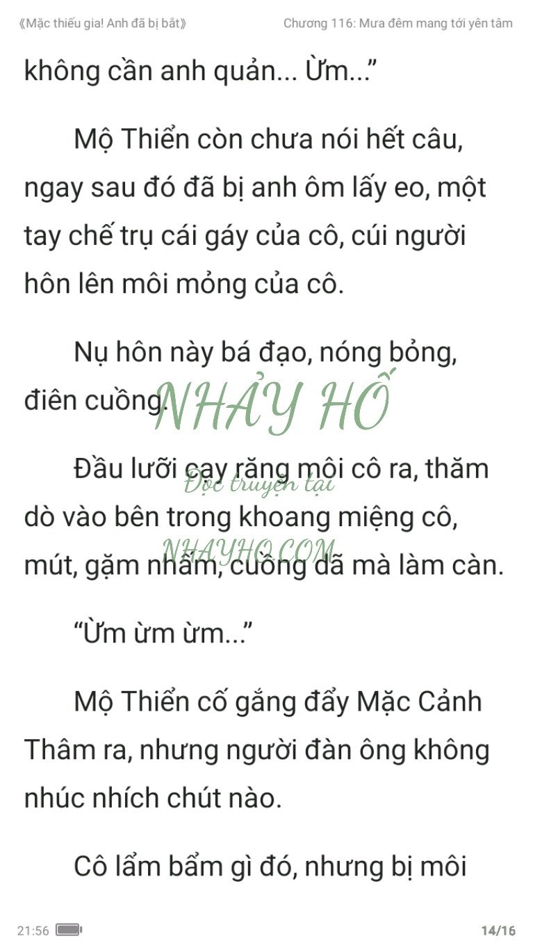 mac-thieu-gia-anh-da-bi-bat-116-13