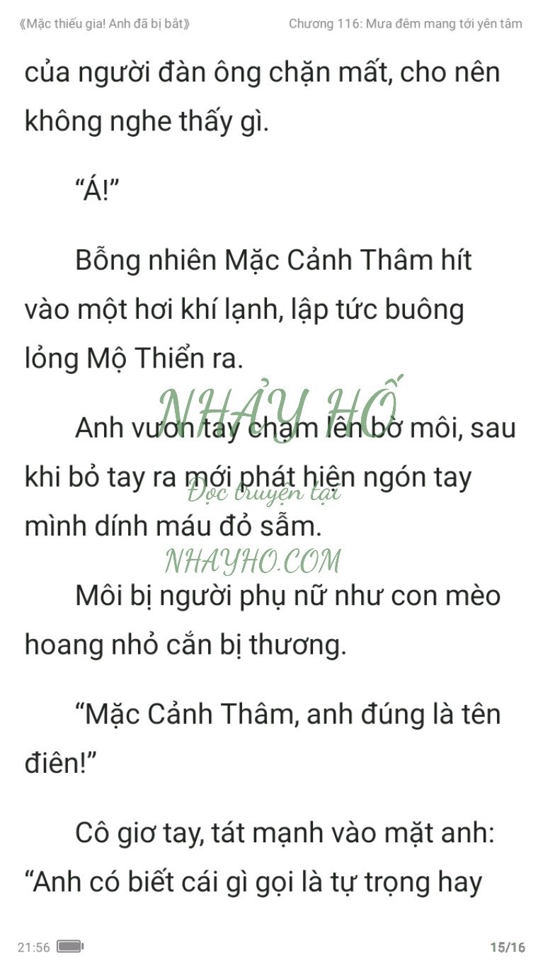 mac-thieu-gia-anh-da-bi-bat-116-14