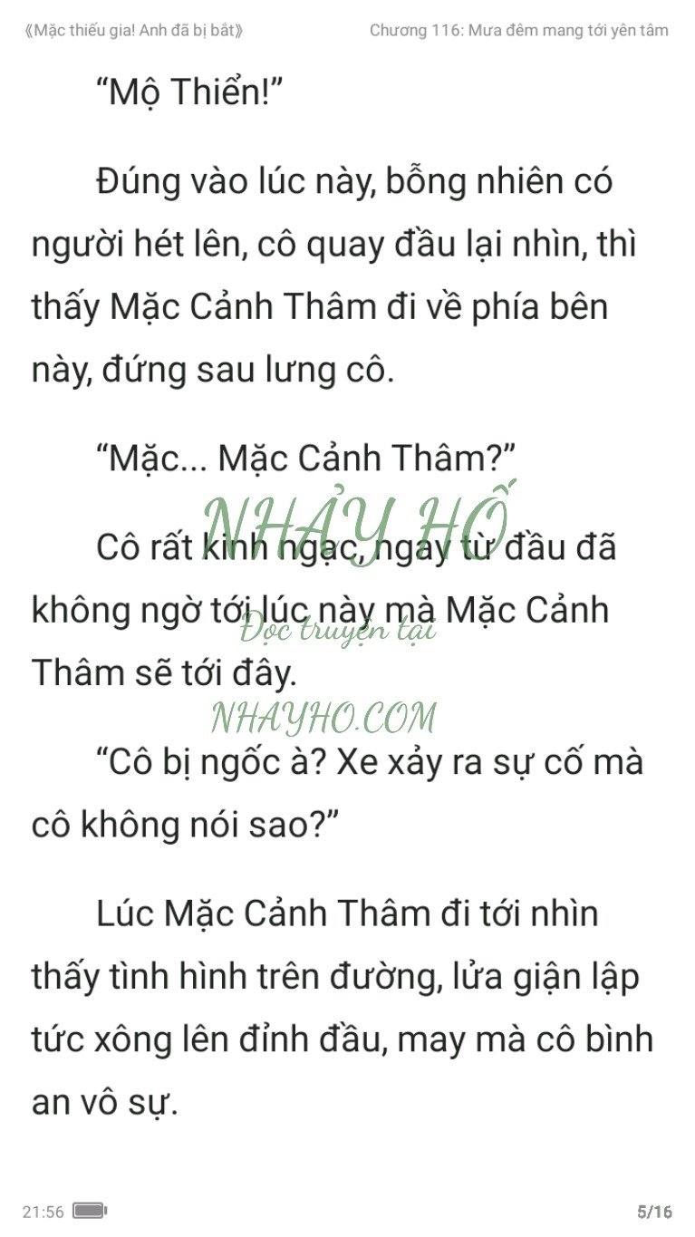 mac-thieu-gia-anh-da-bi-bat-116-4