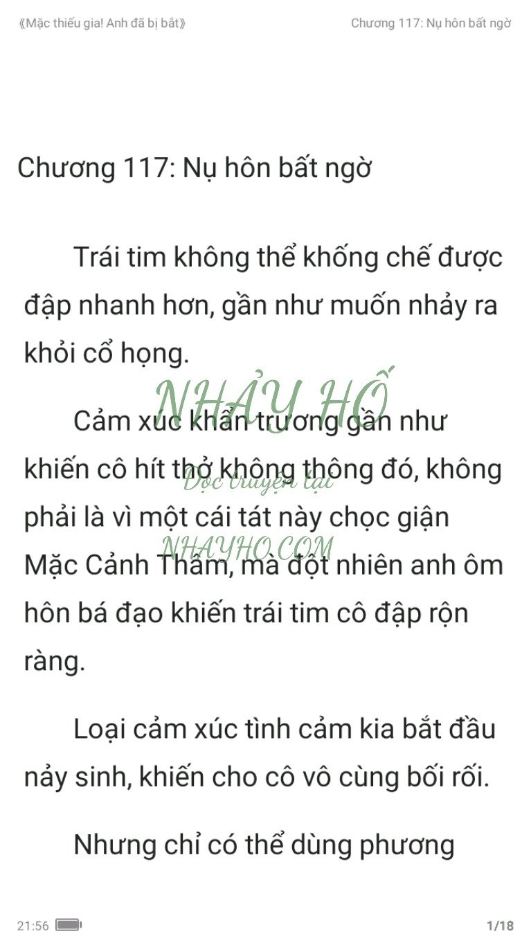 mac-thieu-gia-anh-da-bi-bat-117-0