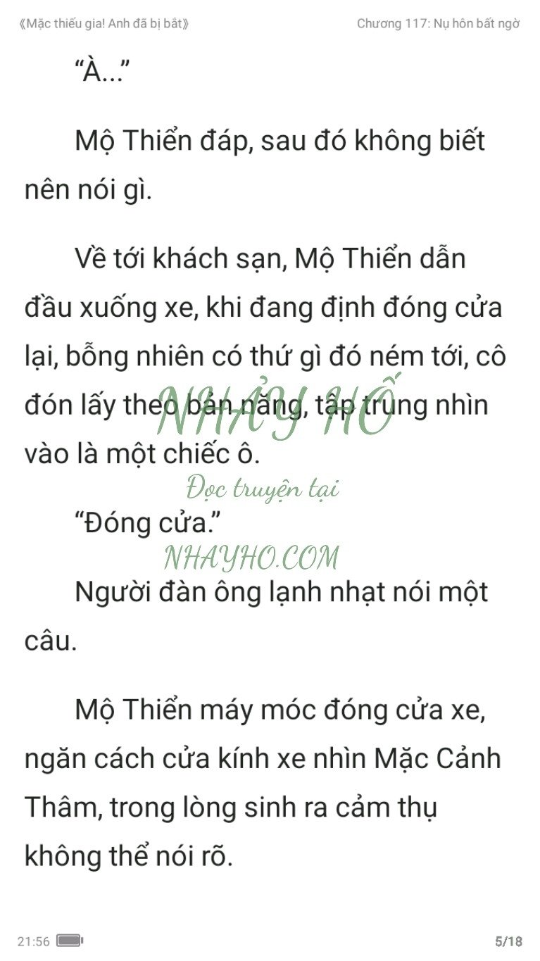 mac-thieu-gia-anh-da-bi-bat-117-4