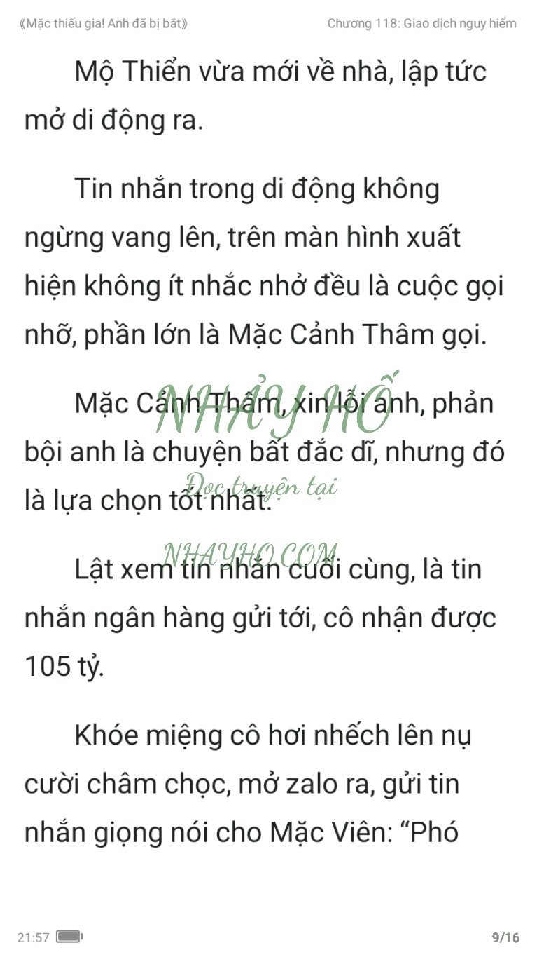 mac-thieu-gia-anh-da-bi-bat-118-8