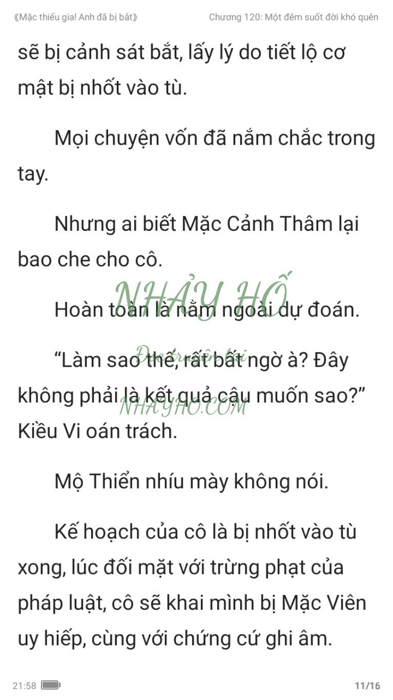 mac-thieu-gia-anh-da-bi-bat-120-10