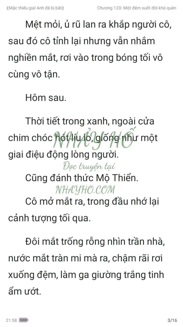 mac-thieu-gia-anh-da-bi-bat-120-2