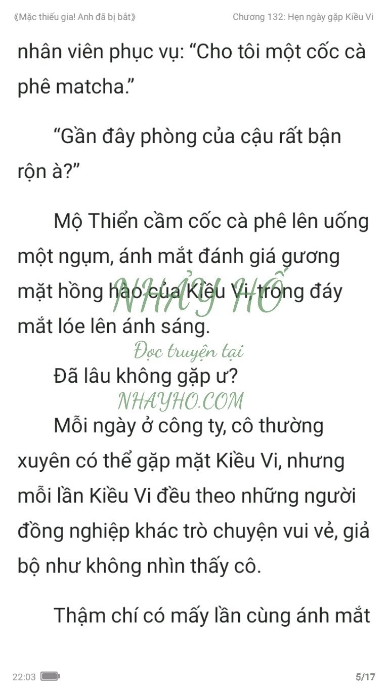 mac-thieu-gia-anh-da-bi-bat-132-4