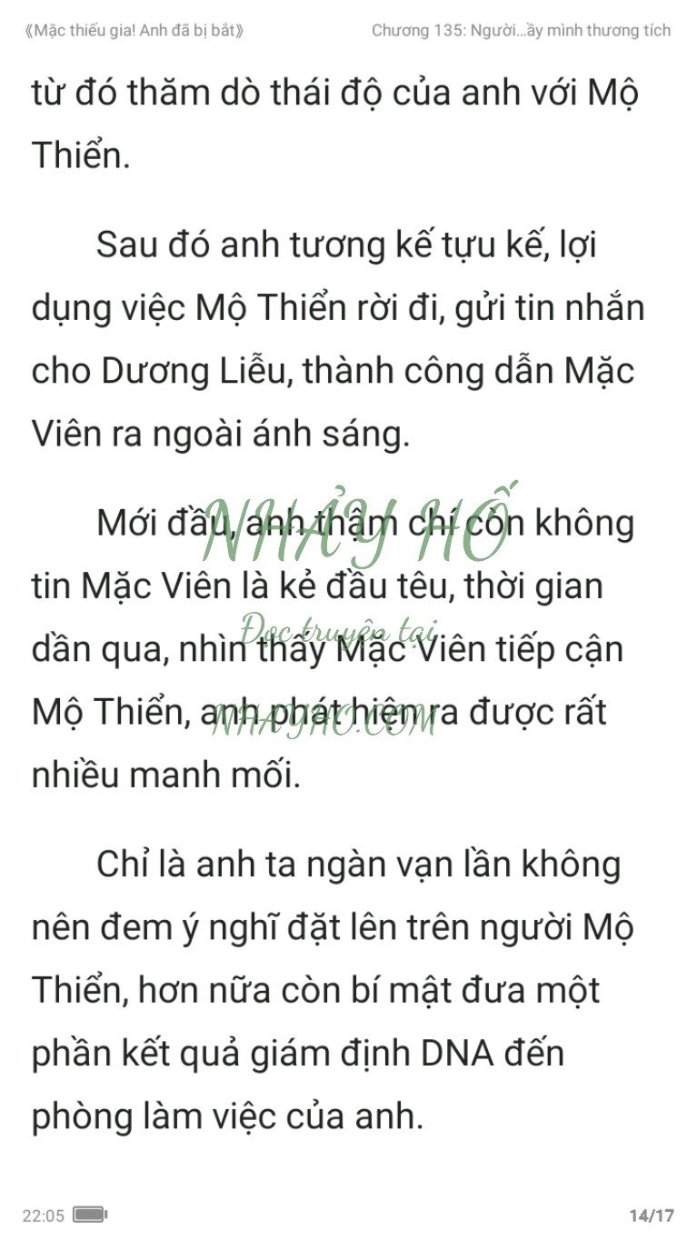 mac-thieu-gia-anh-da-bi-bat-135-13