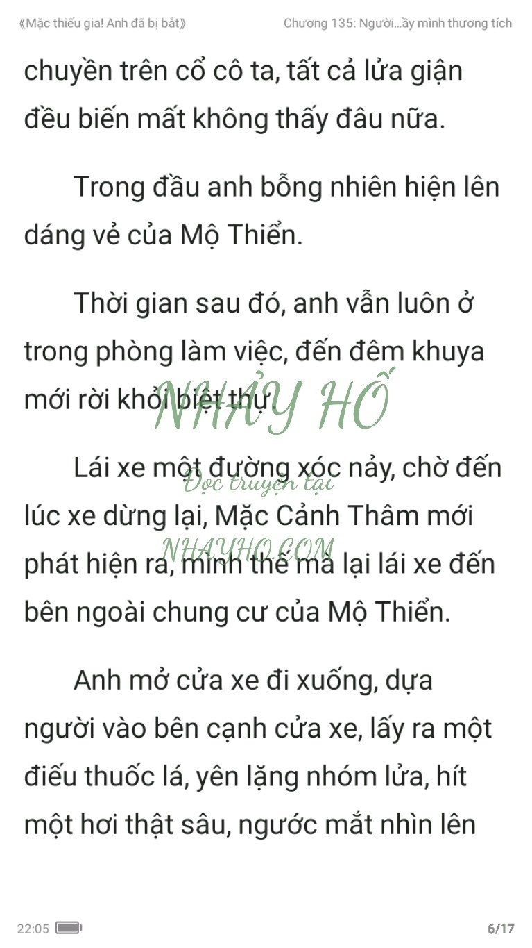 mac-thieu-gia-anh-da-bi-bat-135-5