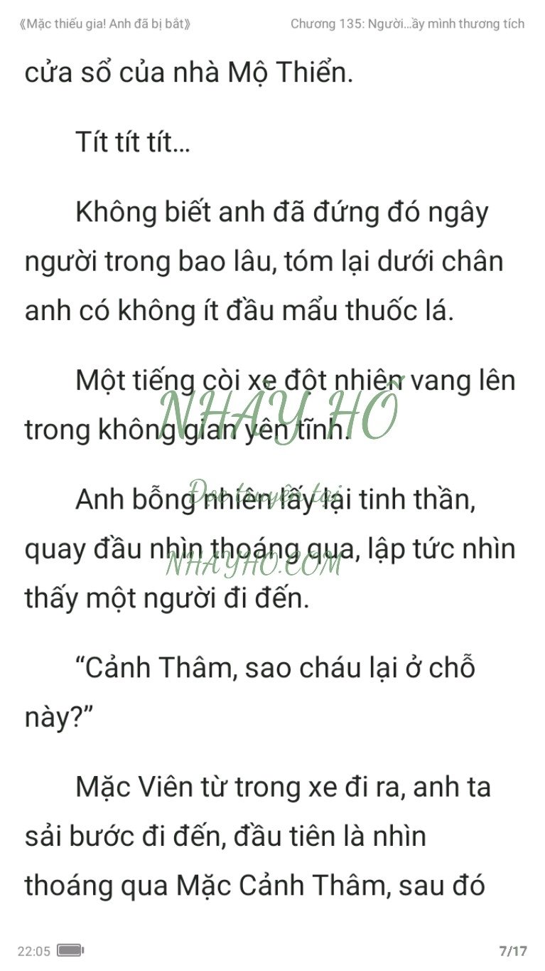 mac-thieu-gia-anh-da-bi-bat-135-6