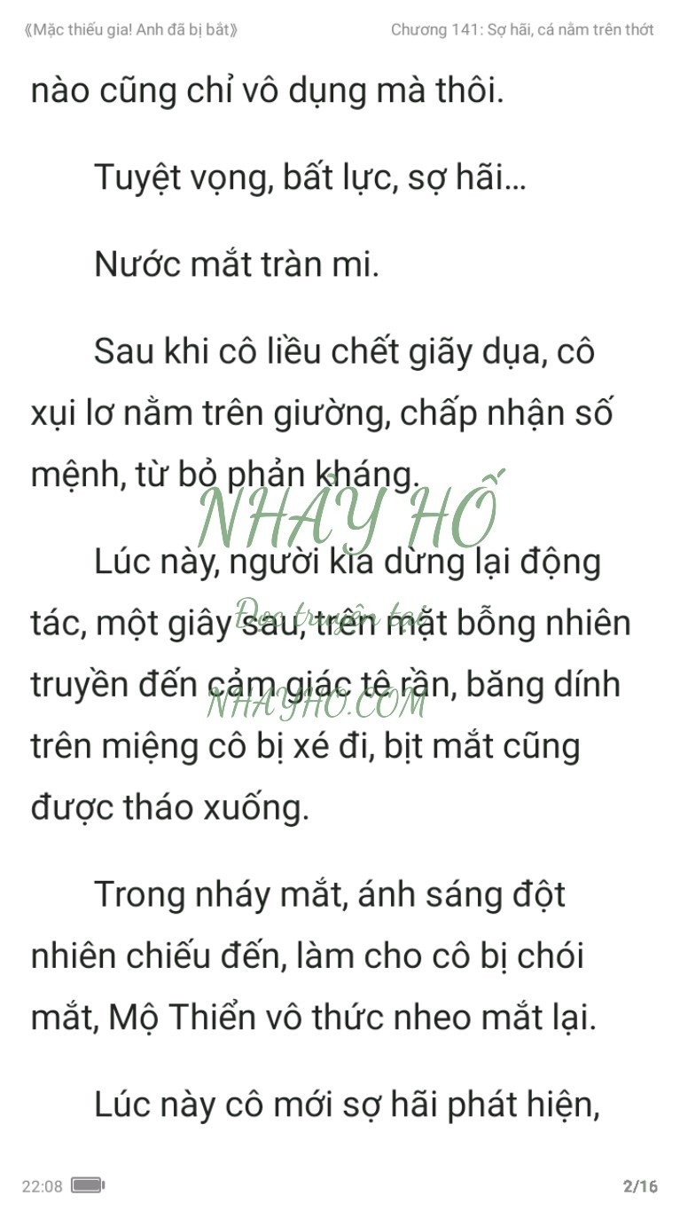 mac-thieu-gia-anh-da-bi-bat-141-1