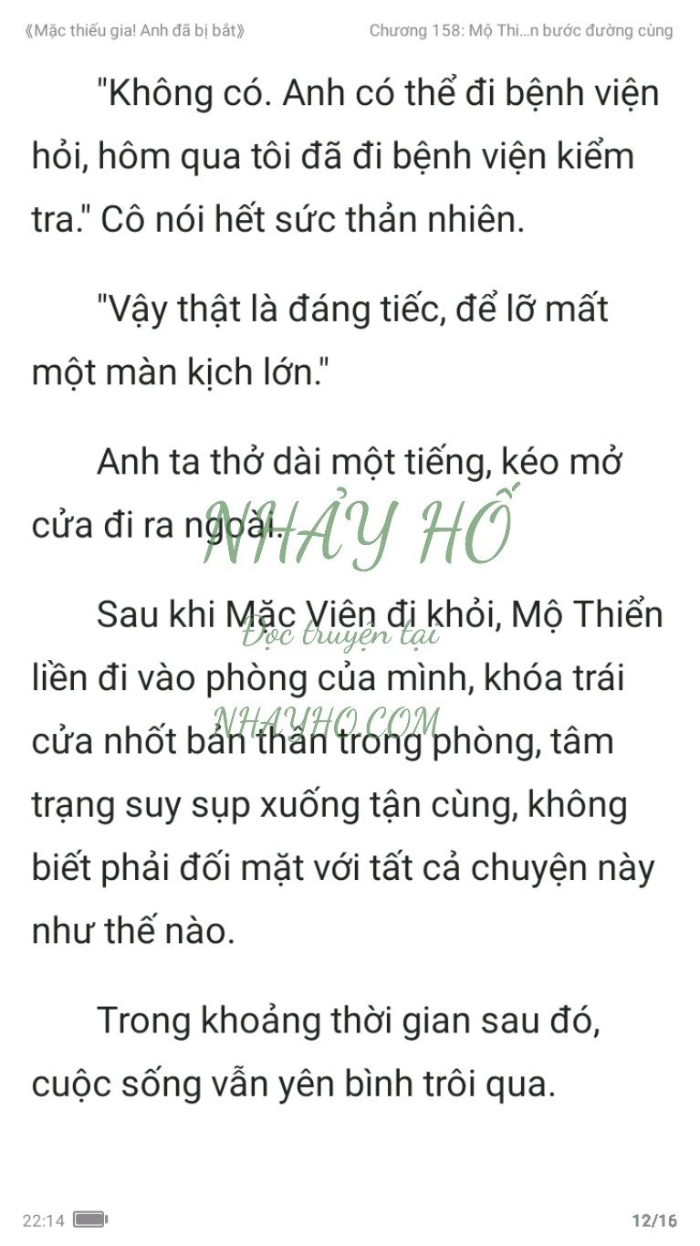 mac-thieu-gia-anh-da-bi-bat-158-11