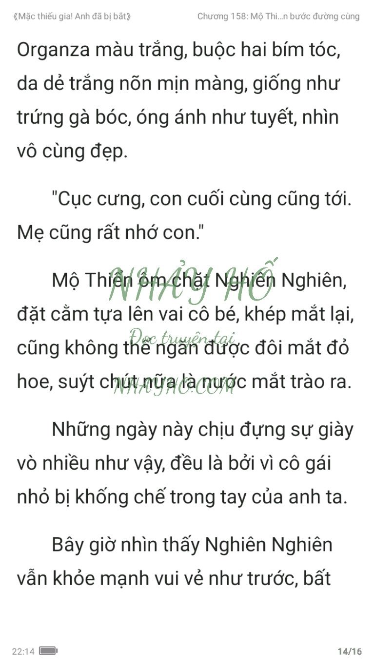 mac-thieu-gia-anh-da-bi-bat-158-13