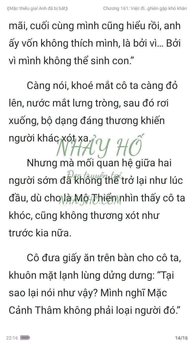 mac-thieu-gia-anh-da-bi-bat-161-13