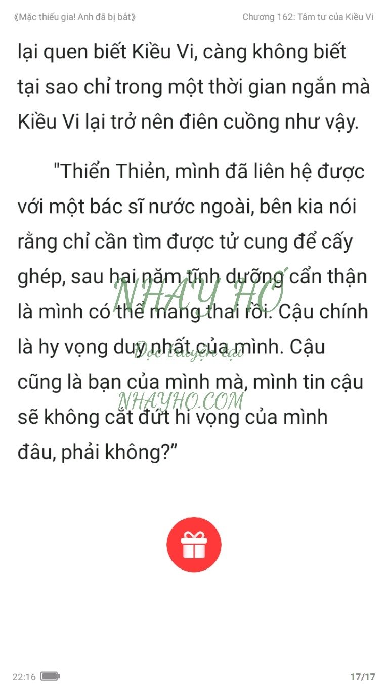 mac-thieu-gia-anh-da-bi-bat-162-16