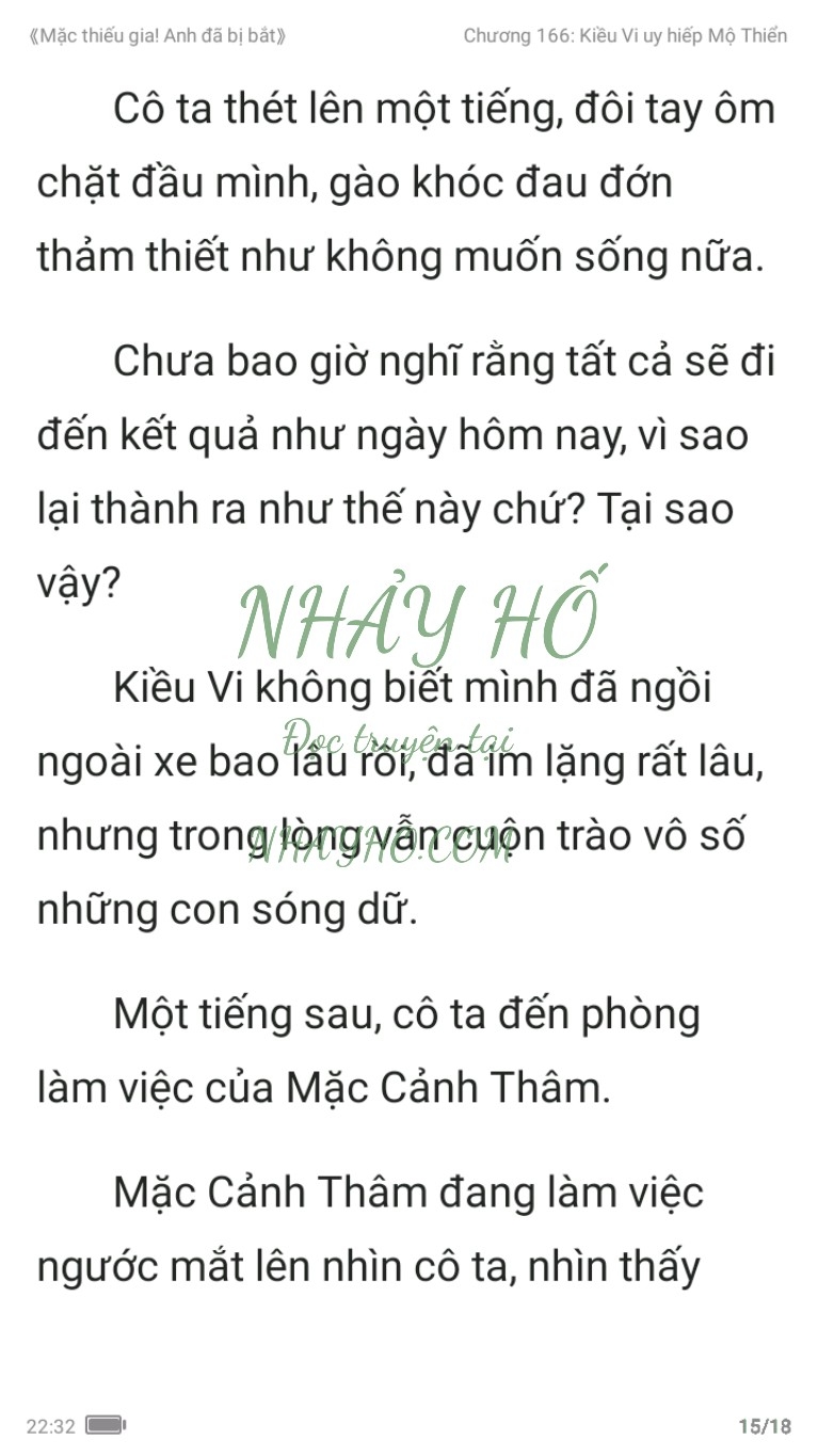 mac-thieu-gia-anh-da-bi-bat-166-14