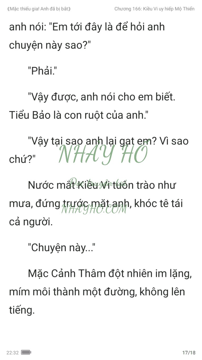 mac-thieu-gia-anh-da-bi-bat-166-16