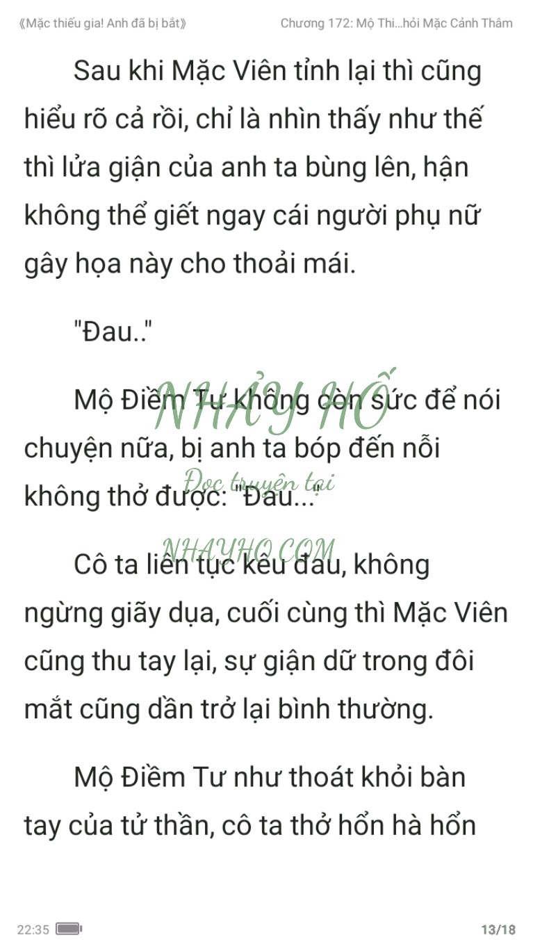 mac-thieu-gia-anh-da-bi-bat-172-12