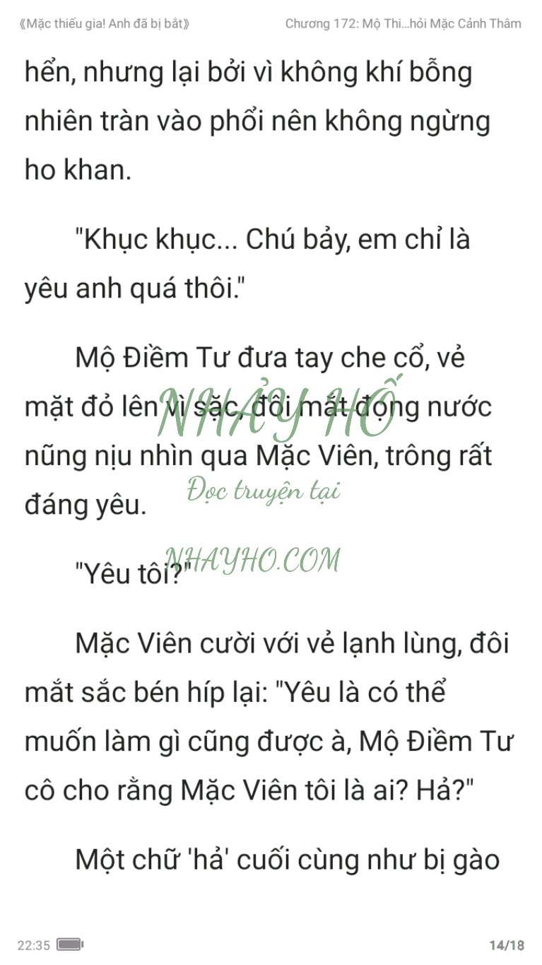 mac-thieu-gia-anh-da-bi-bat-172-13