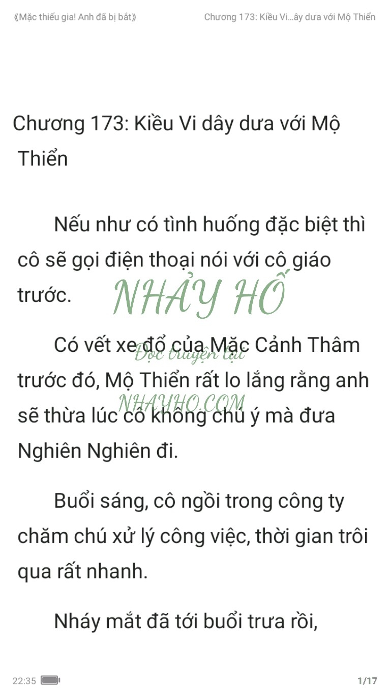 mac-thieu-gia-anh-da-bi-bat-173-0