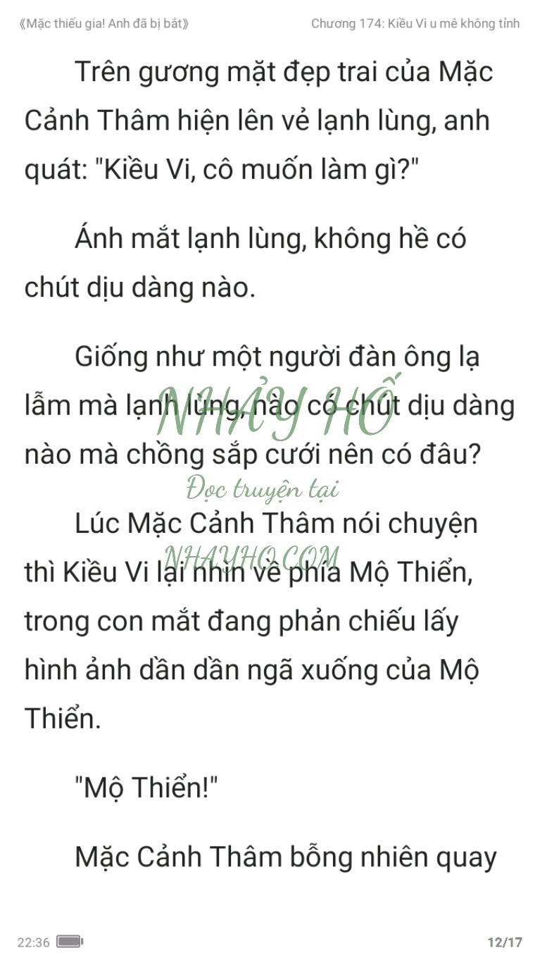 mac-thieu-gia-anh-da-bi-bat-174-11