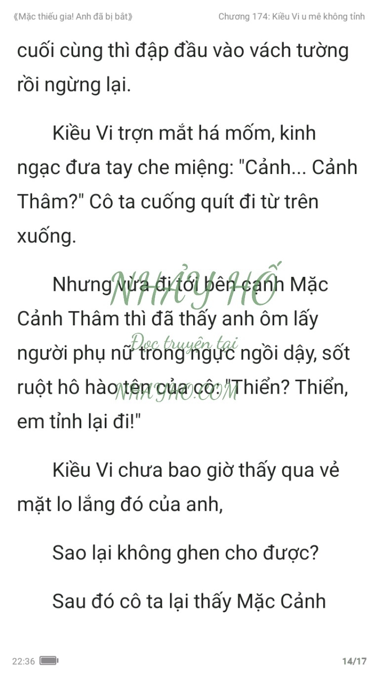 mac-thieu-gia-anh-da-bi-bat-174-13