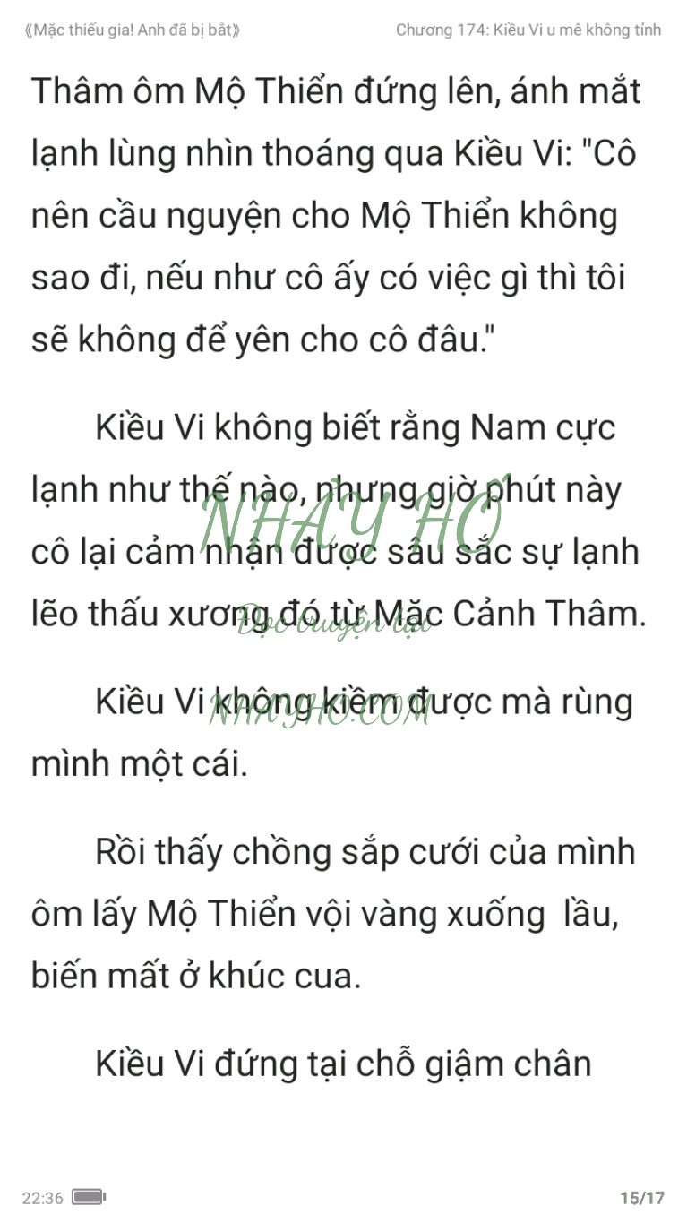 mac-thieu-gia-anh-da-bi-bat-174-14