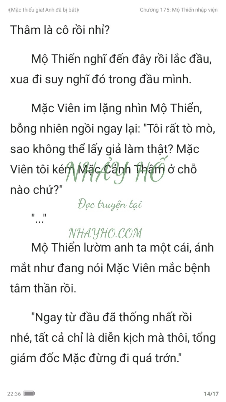 mac-thieu-gia-anh-da-bi-bat-175-13