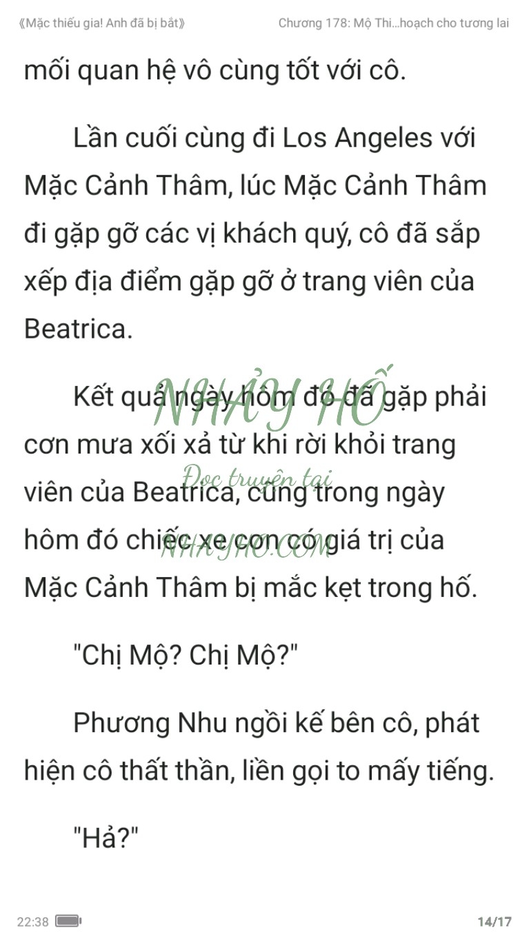 mac-thieu-gia-anh-da-bi-bat-178-13