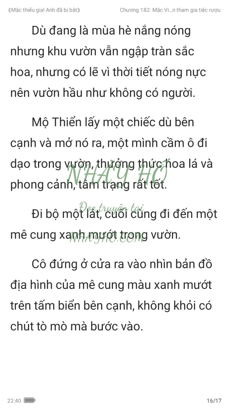 mac-thieu-gia-anh-da-bi-bat-182-15