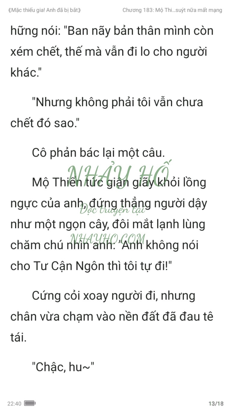 mac-thieu-gia-anh-da-bi-bat-183-12