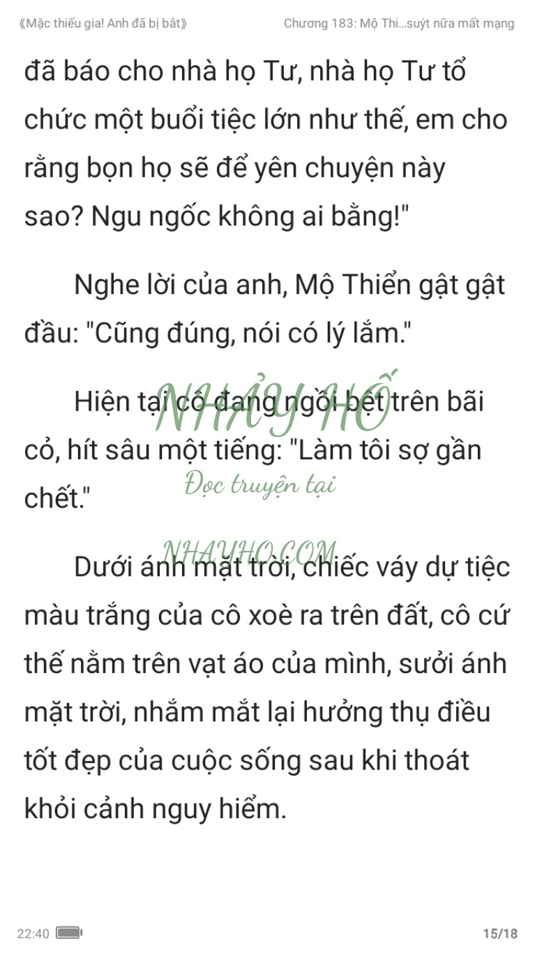 mac-thieu-gia-anh-da-bi-bat-183-14