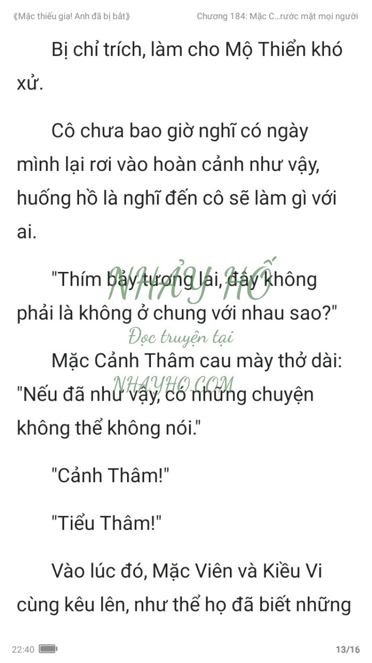 mac-thieu-gia-anh-da-bi-bat-184-12