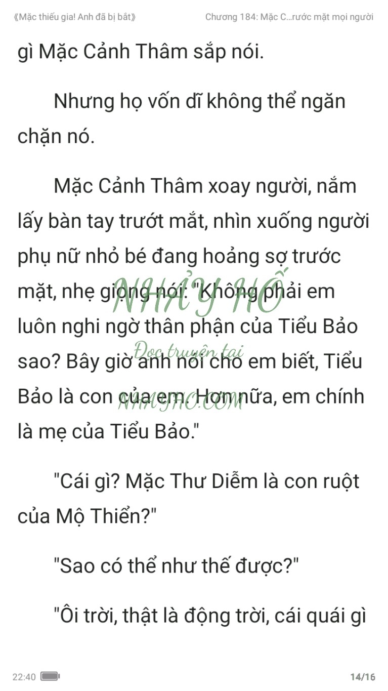 mac-thieu-gia-anh-da-bi-bat-184-13