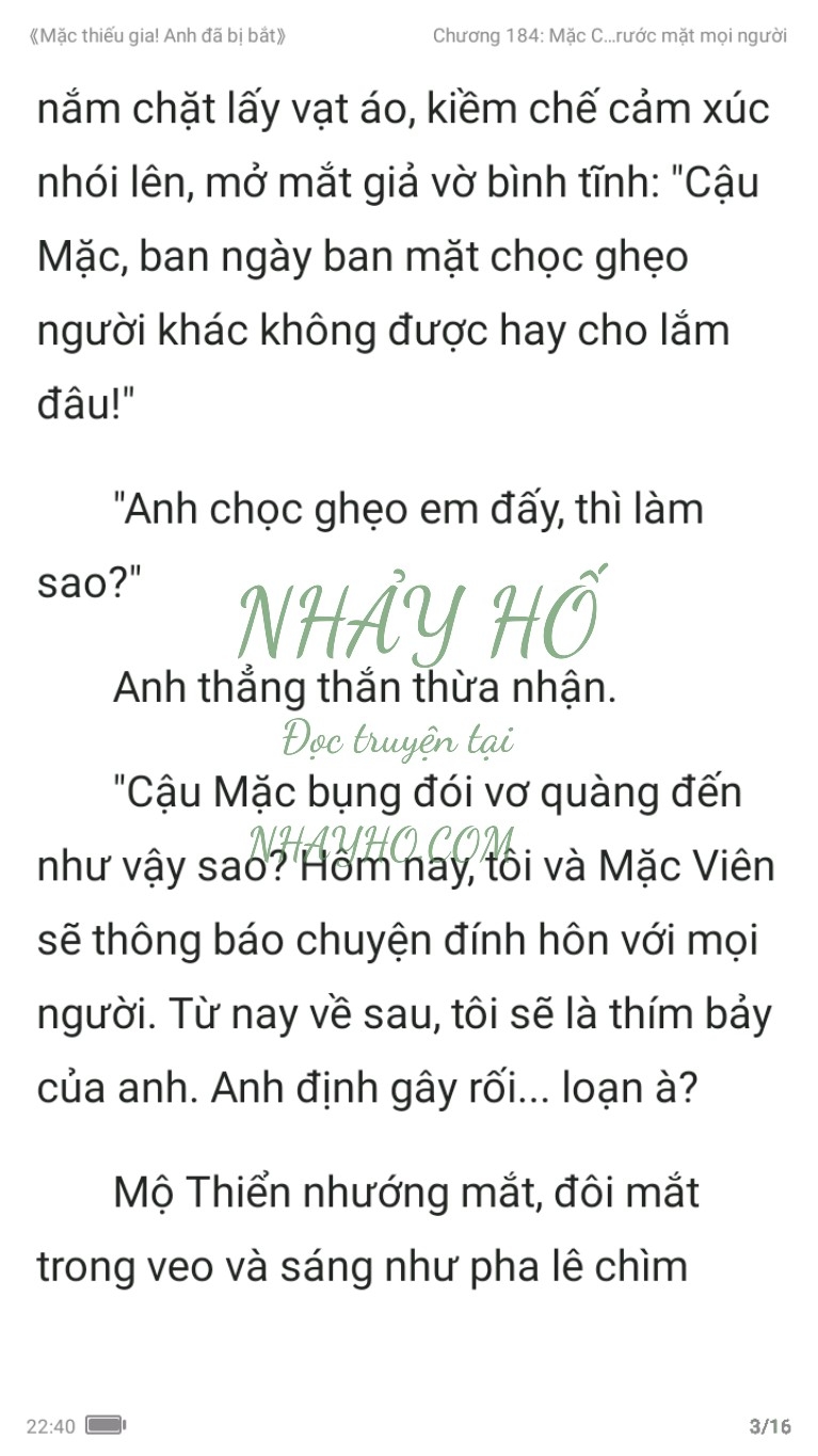 mac-thieu-gia-anh-da-bi-bat-184-2