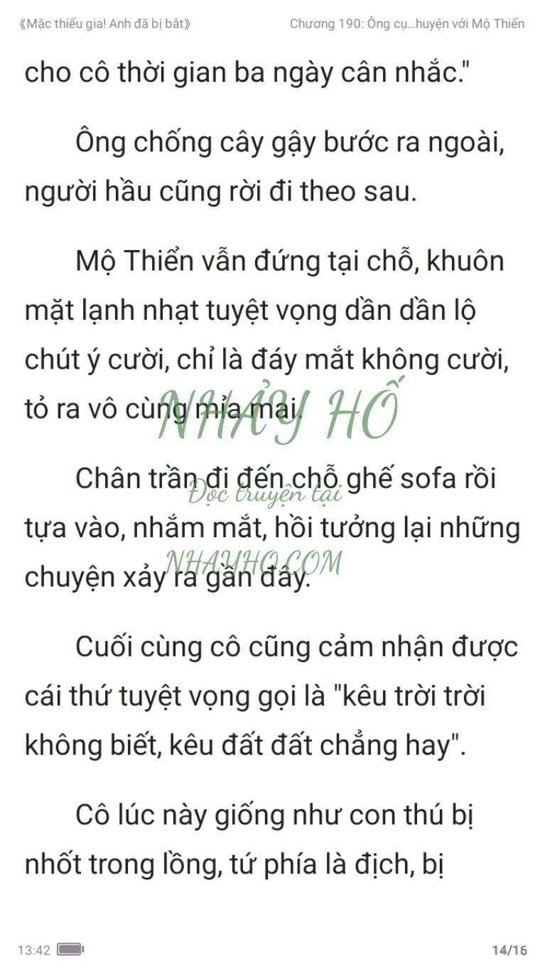 mac-thieu-gia-anh-da-bi-bat-190-13