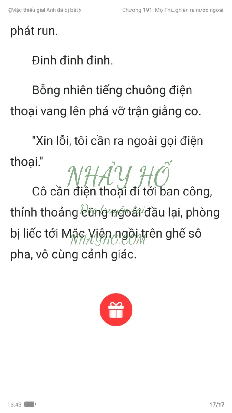 mac-thieu-gia-anh-da-bi-bat-191-16