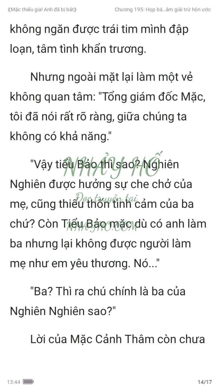 mac-thieu-gia-anh-da-bi-bat-195-13