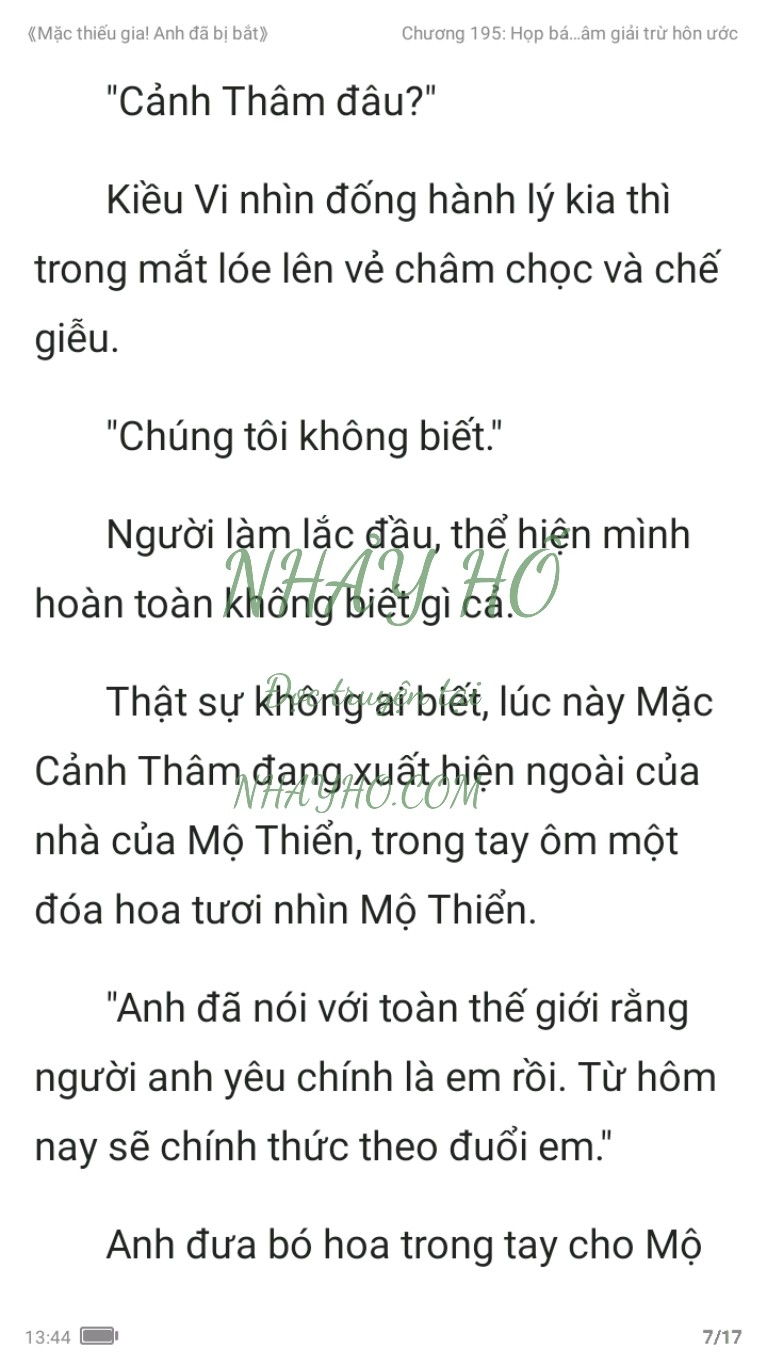 mac-thieu-gia-anh-da-bi-bat-195-6