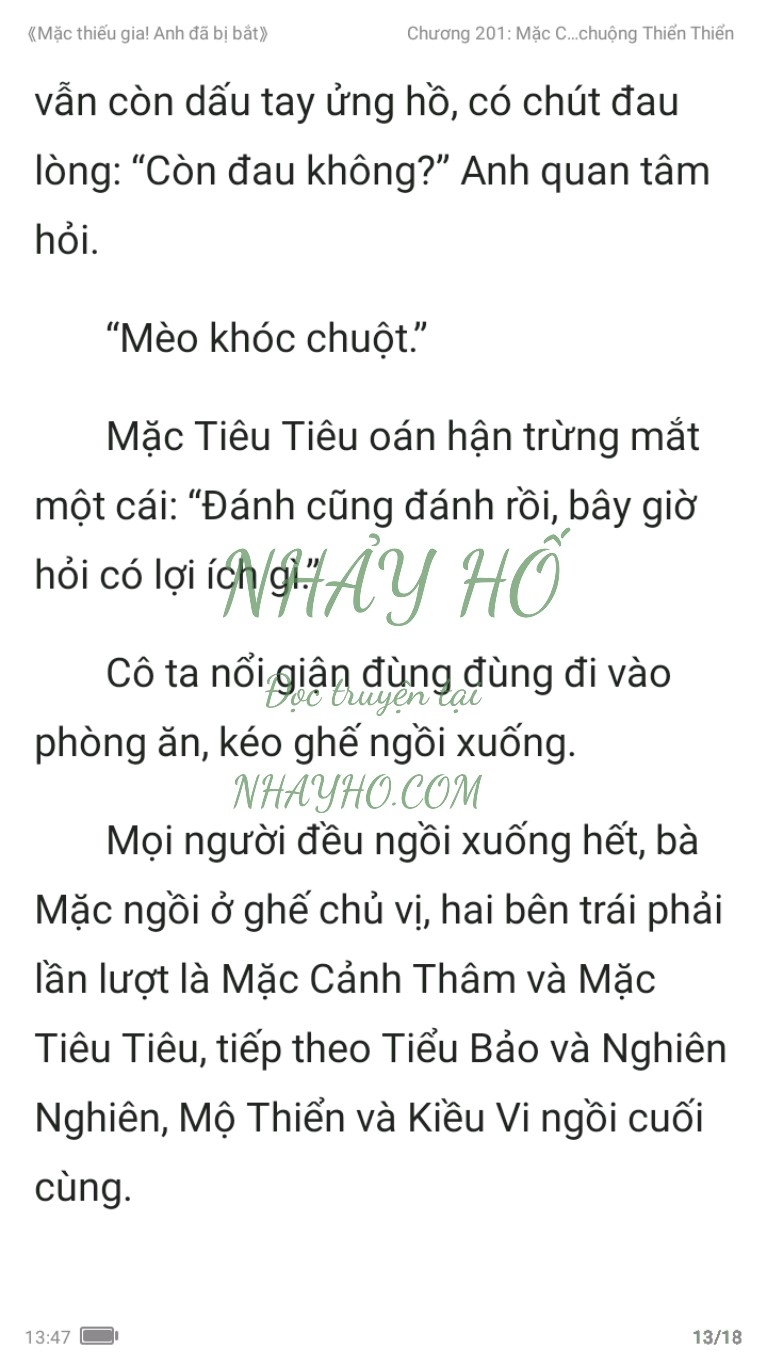 mac-thieu-gia-anh-da-bi-bat-201-12