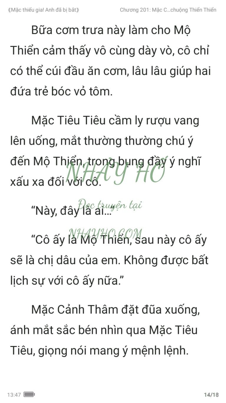 mac-thieu-gia-anh-da-bi-bat-201-13