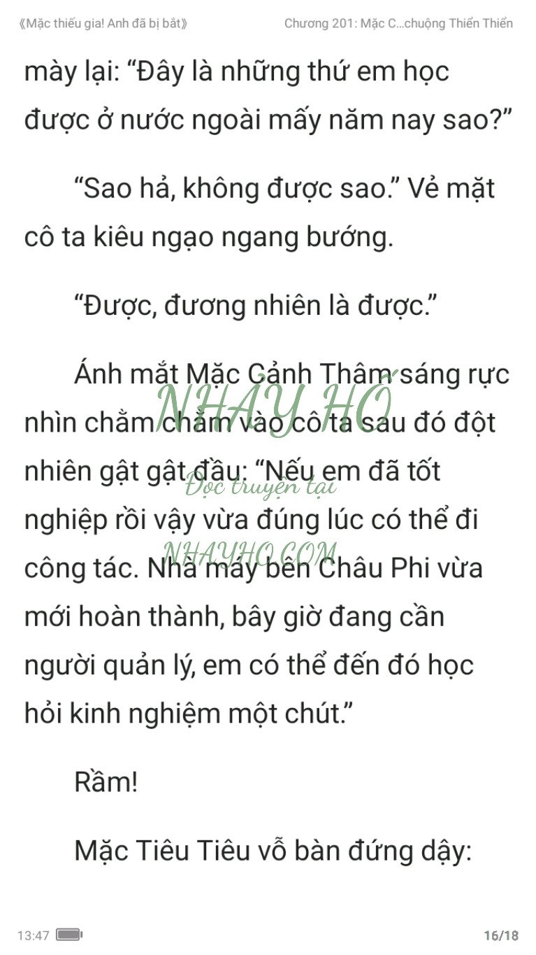 mac-thieu-gia-anh-da-bi-bat-201-15