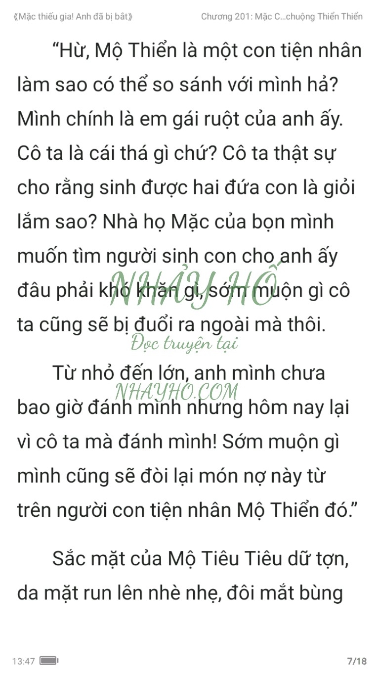 mac-thieu-gia-anh-da-bi-bat-201-6