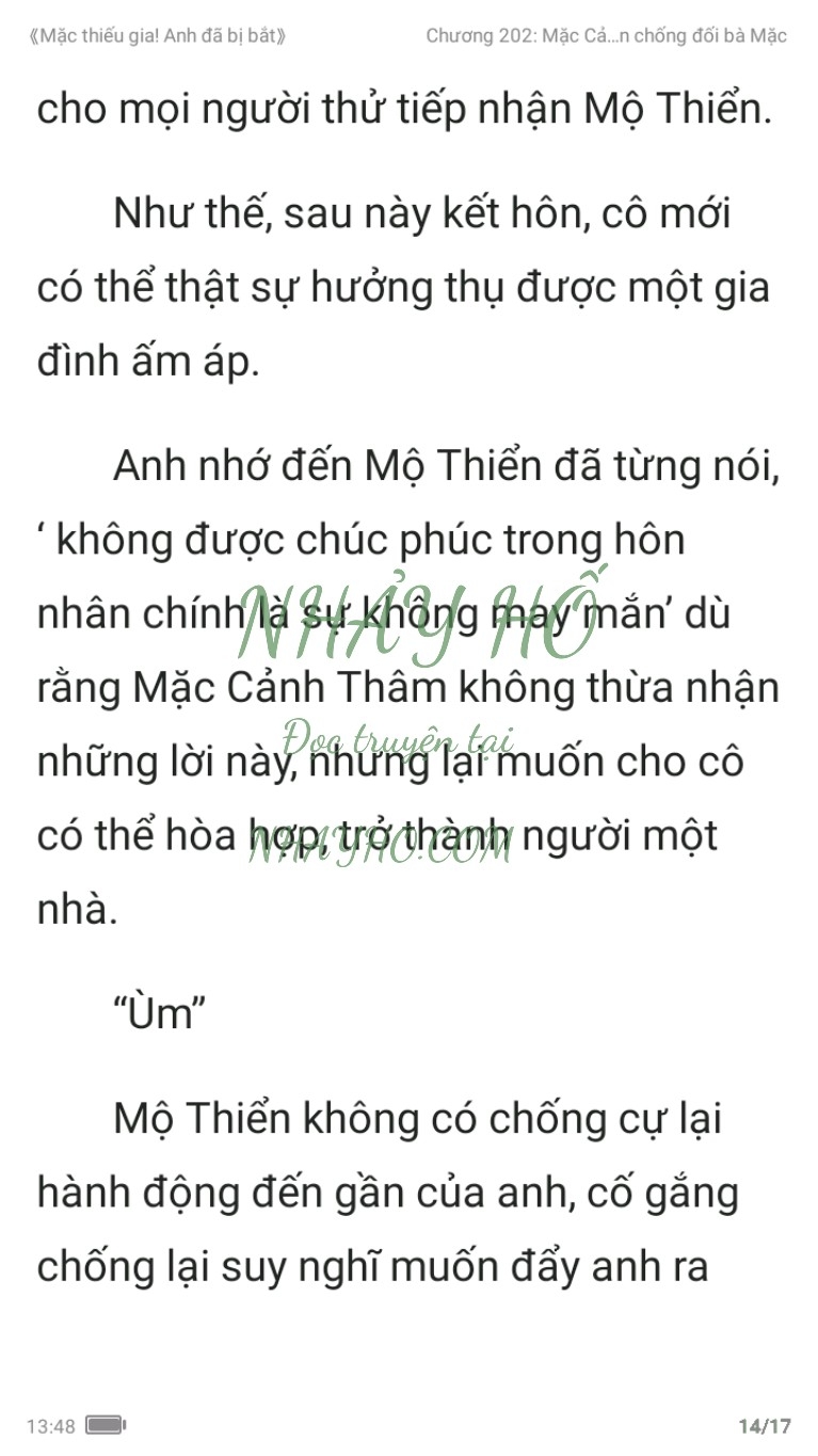 mac-thieu-gia-anh-da-bi-bat-202-13