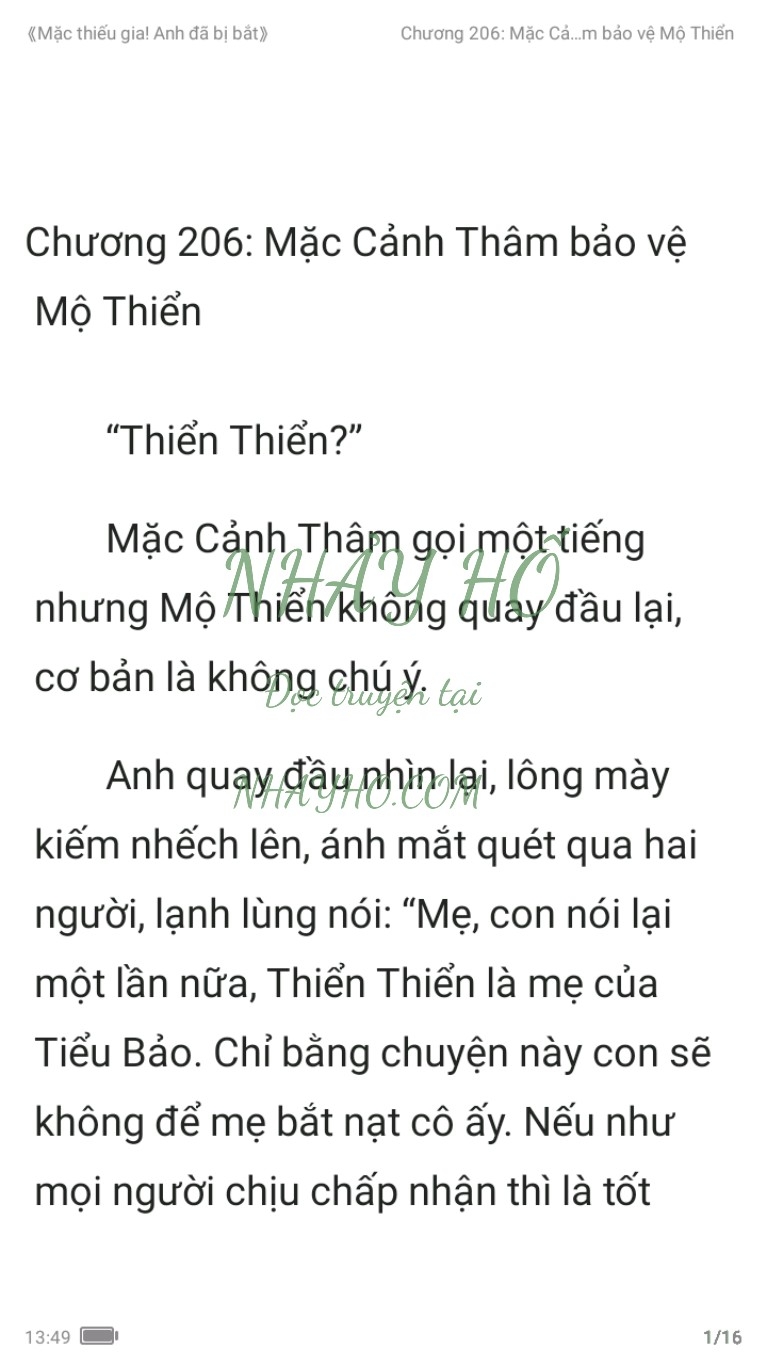 mac-thieu-gia-anh-da-bi-bat-206-1