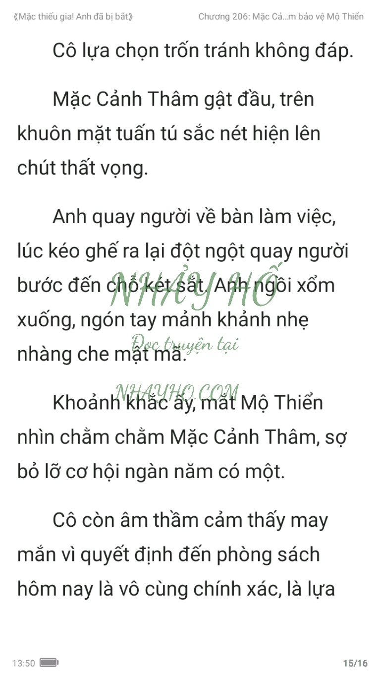 mac-thieu-gia-anh-da-bi-bat-206-14