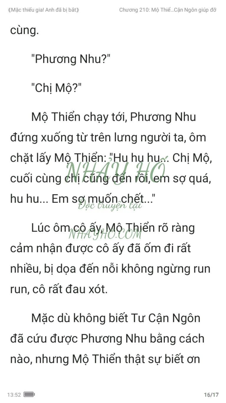 mac-thieu-gia-anh-da-bi-bat-210-15