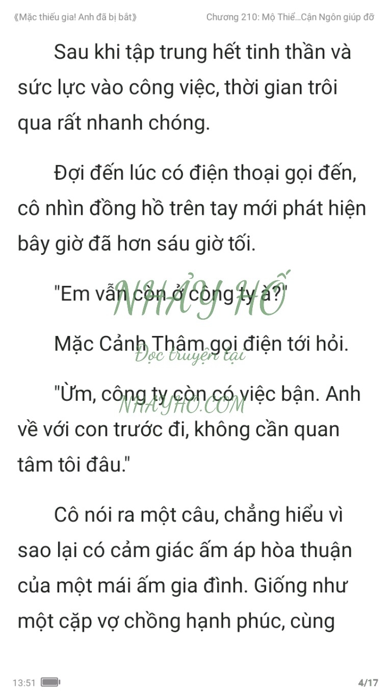 mac-thieu-gia-anh-da-bi-bat-210-3