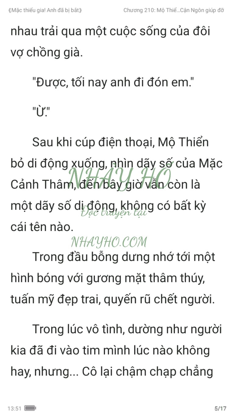 mac-thieu-gia-anh-da-bi-bat-210-4