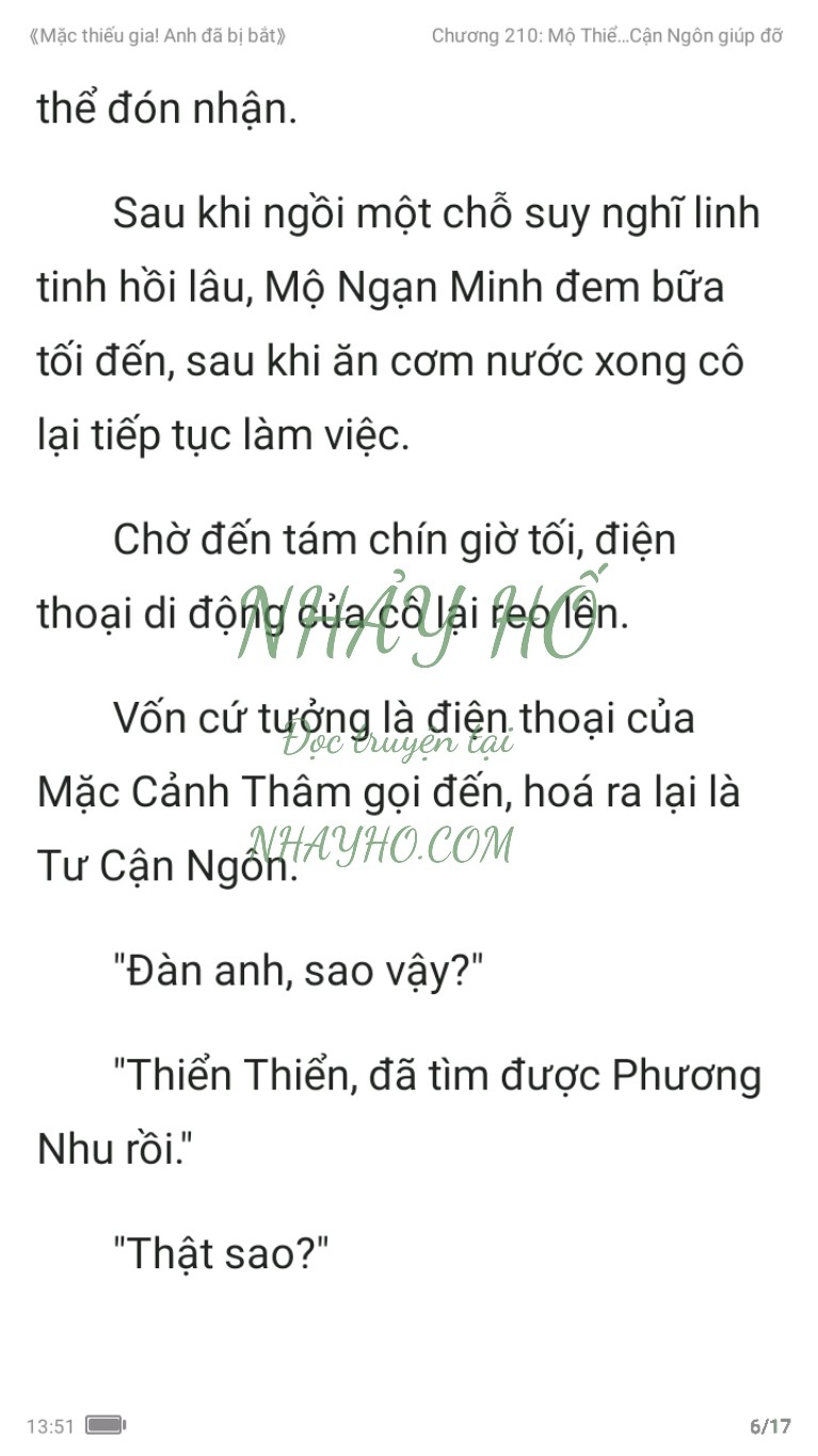 mac-thieu-gia-anh-da-bi-bat-210-5